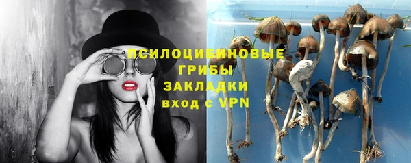 PSILOCYBIN Абинск